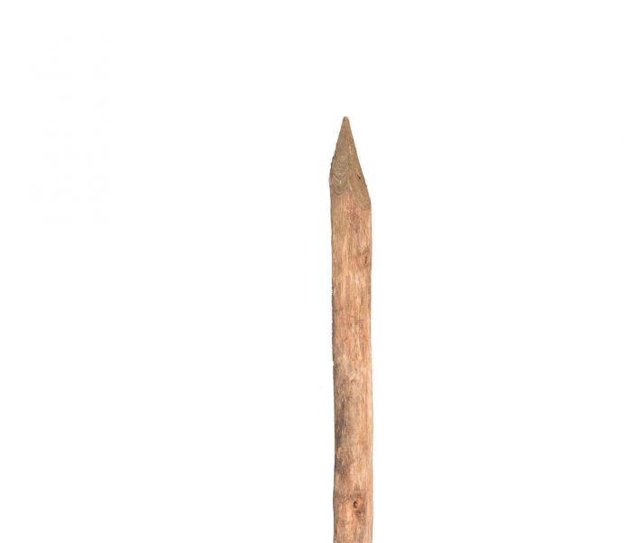 Robinia paal - ontschorst - gepunt 1m80 diameter 6/8 cm
