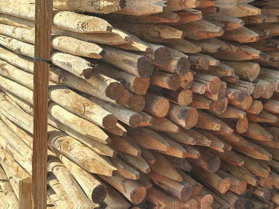 Grote voorraad duurzame kastanje palen in verschillende lengtes en diameters bij houthandel Prindal-Hout