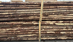 Naaldhouten palen brut opgestapeld met schors intact rondhout funderingspalen sjorpalen diameter 12-14 cm