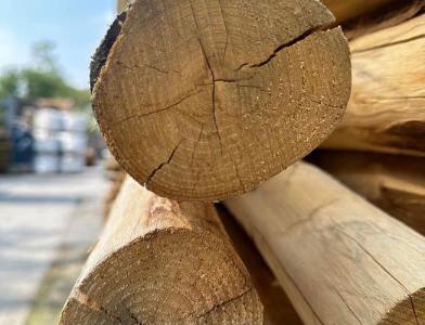 Close up van kastanje paal