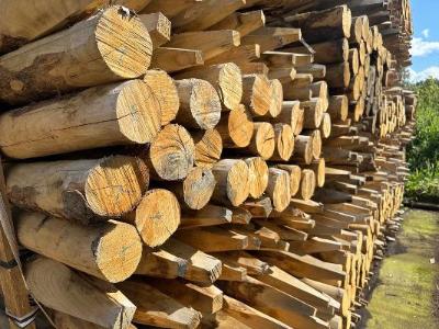 Grote voorraad kastanjehouten palen in pakken direct leverbaar