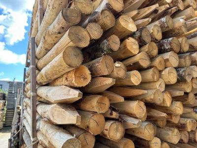 Duurzame kastanje paal 6-8 cm gepunt en geschild