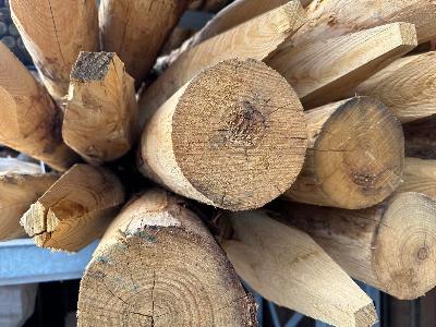 Extra dikke kastanjehouten paal diameter 14-16 cm gepunt voor zware constructies