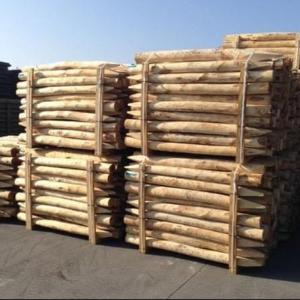 Bundel kastanje palen van Europees kastanjehout bij Prindal-Hout