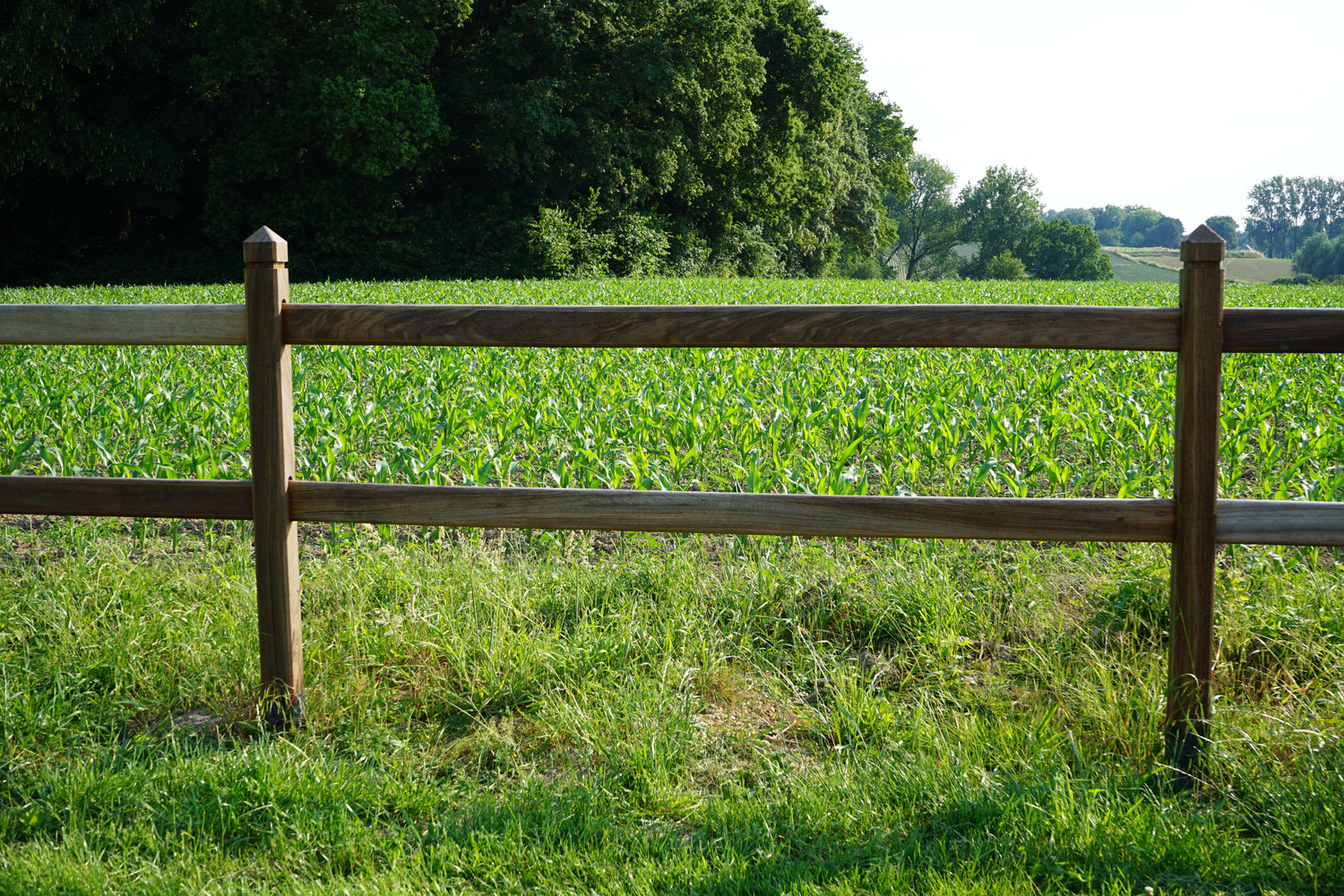Clôture pour chevaux - bois dur tropical - poutre