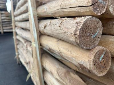 Robinia palen van duurzaam hardhout voor natuurlijke afrastering en tuinomheining Dia 6 tot 8 cm