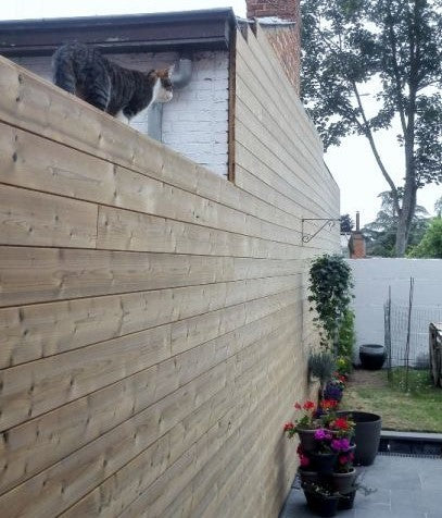 Planchet met tand en groef Douglas