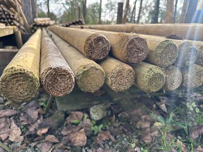 Poteaux en pin fraisés pointus imprégnés - dia. 6 cm