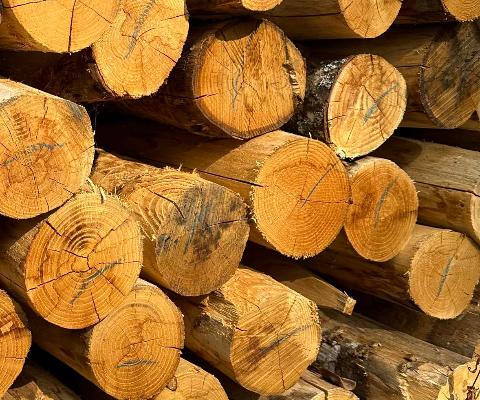 Grote bundel zware kastanje palen 12/14 cm met 5 procent pakkorting bij Prindal-Hout
