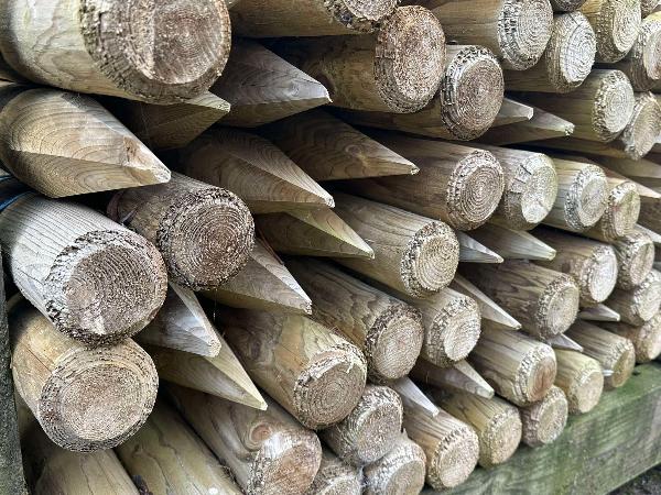 Poteaux de pin écorcés pointus imprégnés - dia. 8 cm