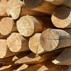 Bundel robinia palen diameter 10 12 cm lengte 160 cm