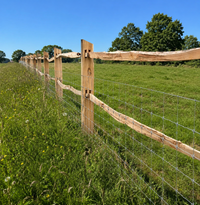 Robinia gekloven gezaagde paal (stuk)