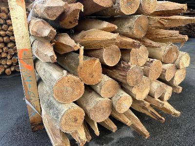 Voorraad Robinia houten palen 12-14 cm bij specialist Prindal-Hout