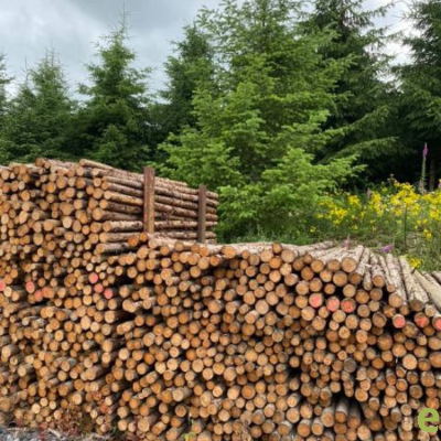 Poteaux ronds de résineux brut avec écorce - dia. 10-12 cm