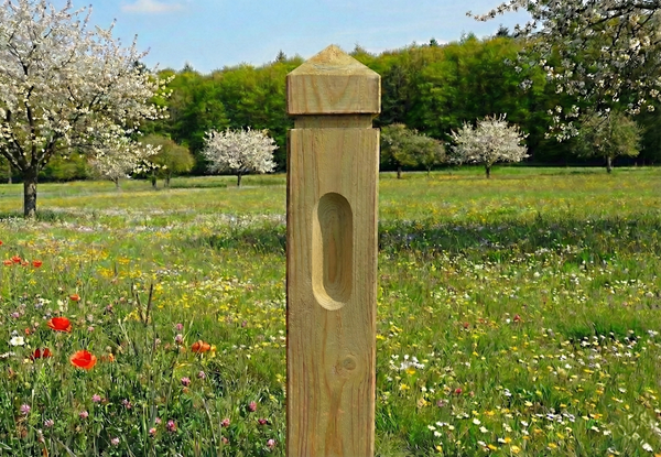 Clôture équestre - Pin rouge de Norvège - Poteau d'extrémité