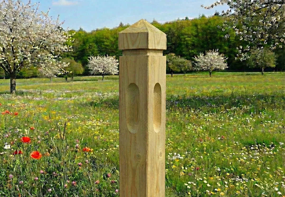 Clôture pour chevaux - Pin rouge de Norvège à tête de diamant