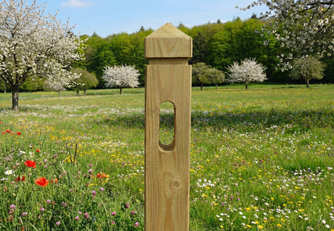 Clôture pour chevaux - Pin rouge de Norvège à tête de diamant