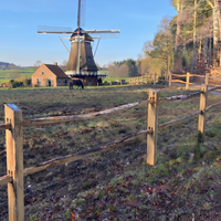 Clôture pour chevaux - Poutre fendu